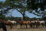 /international/Guatemala/2007LagunaElPino/Gallery/theCountry/thumbnails/El Chamarro 029 r.jpg